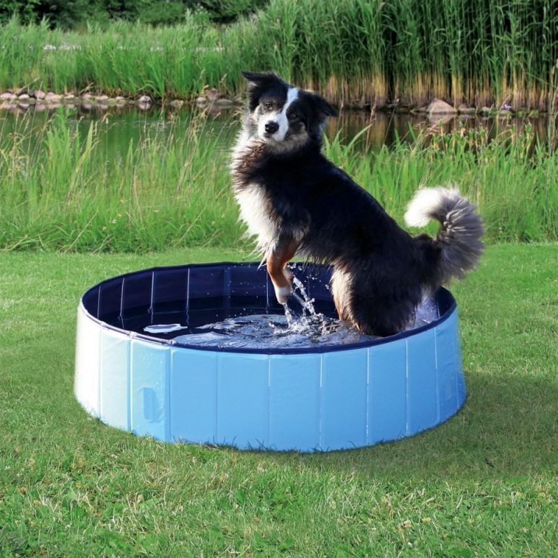 Piscina per Cani Antigraffio