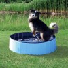 Piscina per Cani 