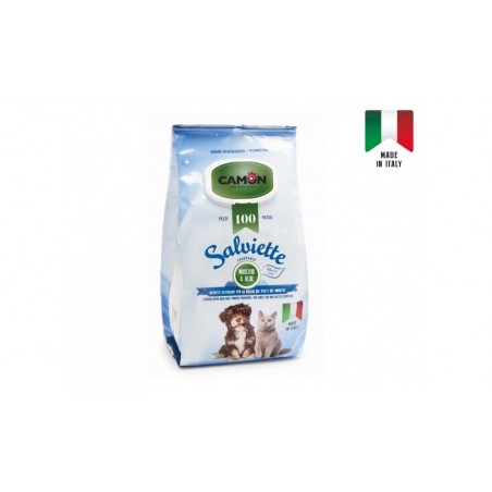 Salviette Camon Muschio e Aloe100 pz