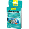 Bactozym 