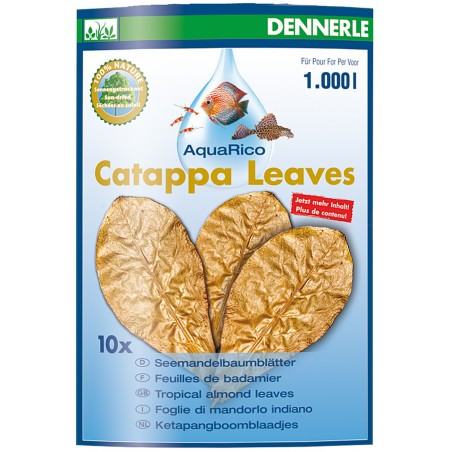 Catappa Leaves