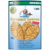 Catappa Leaves 