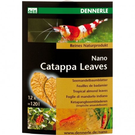 Nano Catappa Leaves