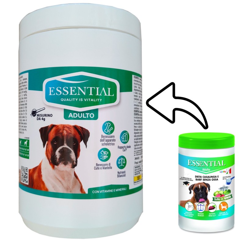 Cliffi Essential Cane Adulto