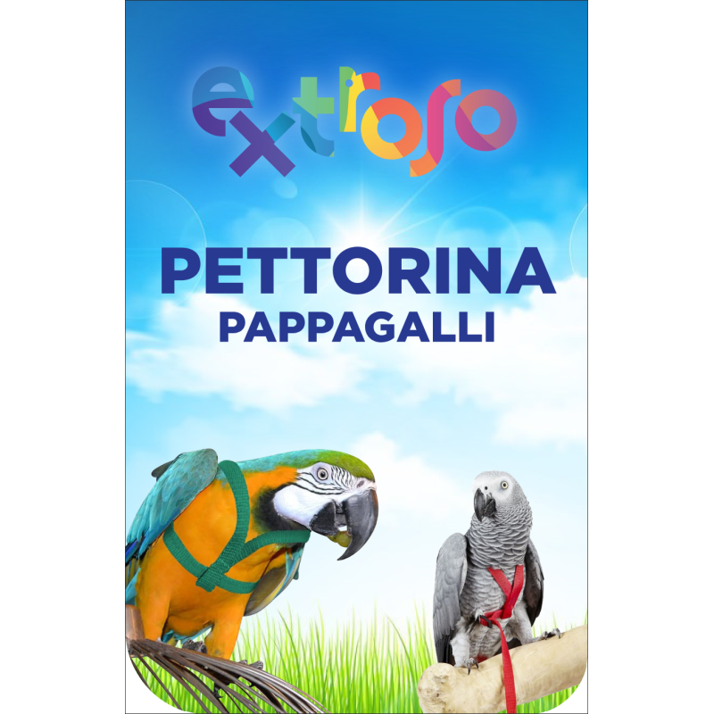 Pettorina Pappagalli Extroso Pettorina Pappagalli Extroso
