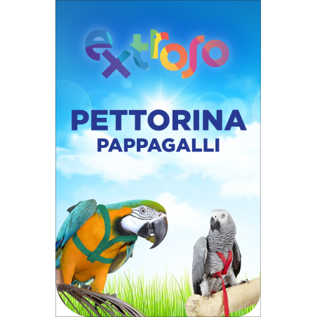 Pettorina Pappagalli Extroso