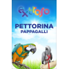 Pettorina Pappagalli Extroso 
