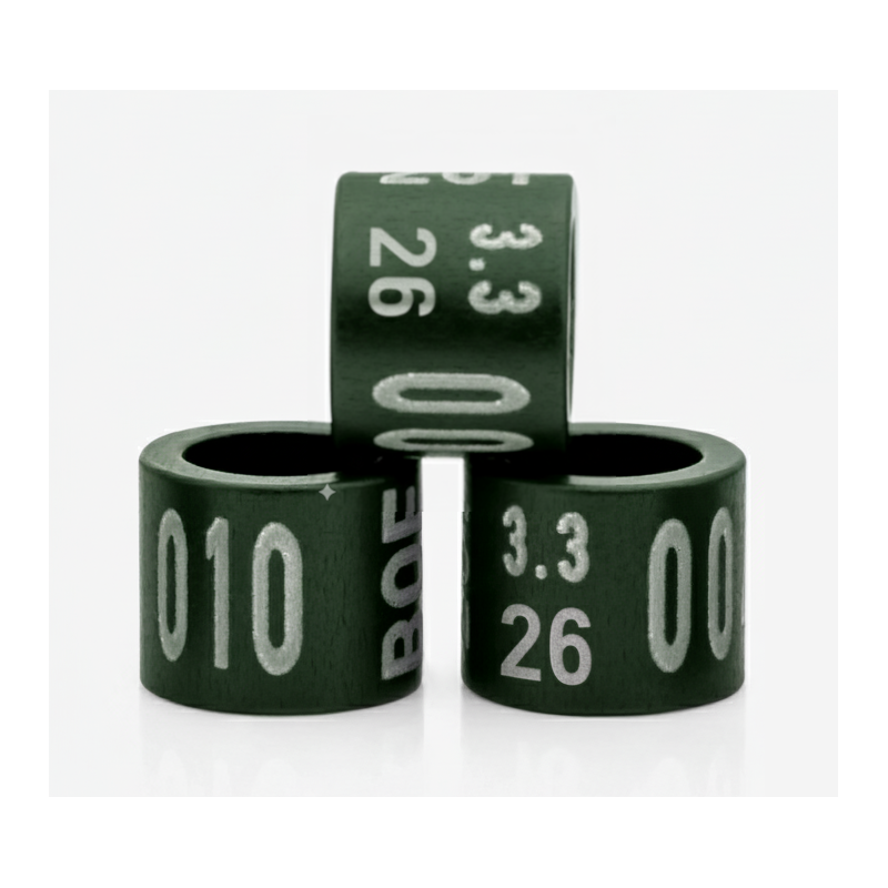 anello-inamovibile-2026-verde-duralluminio-uccelli