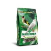 Manitoba Alta Germinazione Canarini 