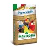 Manitoba Miscela Parrocchetti 