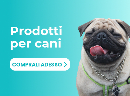 Vasche per cani - Negozio online di articoli per cani