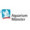 Aquarium Munster