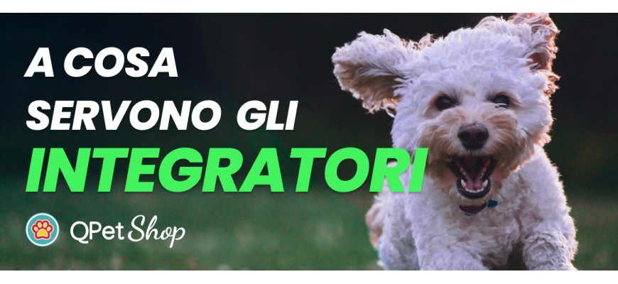 Gli integratori per cani